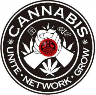 KingstonCannabis
