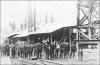 LymanLbrShingle1900-MLBall