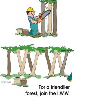 friendlyforest