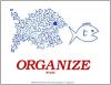 organize-big-fish