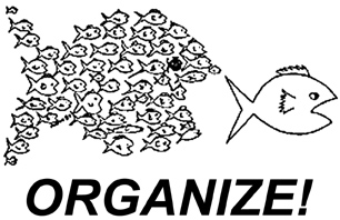 OrganizeFishGrey