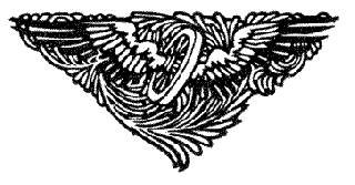 ornament10