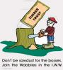timbertrustsmall2